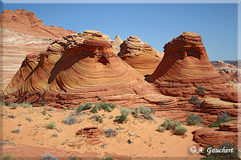 Teepees 